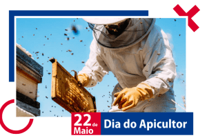 Leia mais sobre o artigo 22 de Maio: Dia do Apicultor