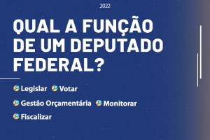 Leia mais sobre o artigo O que faz um Deputado Federal?